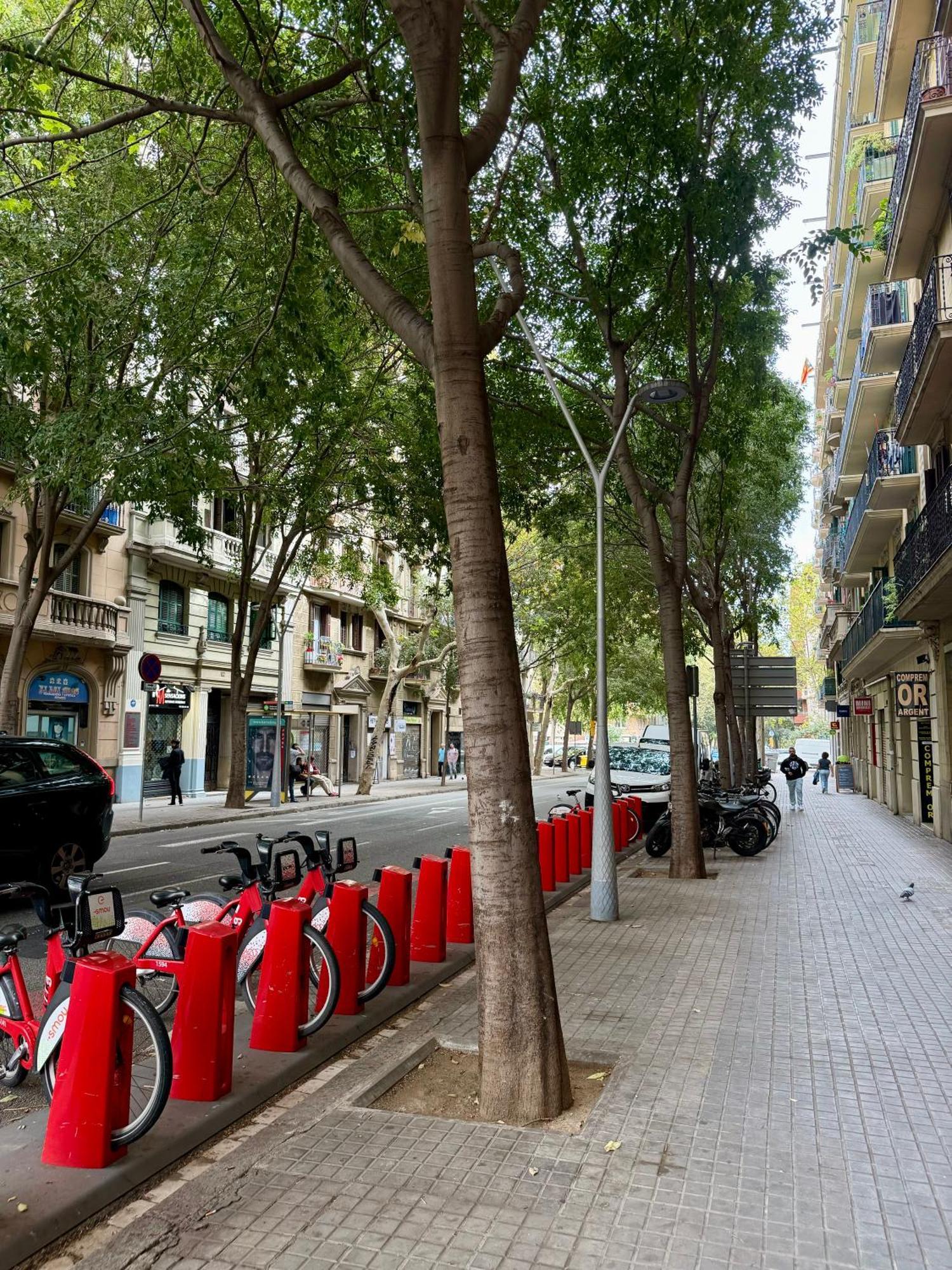 Newly Renovated Stylish Eixample - Great Location برشلونة المظهر الخارجي الصورة